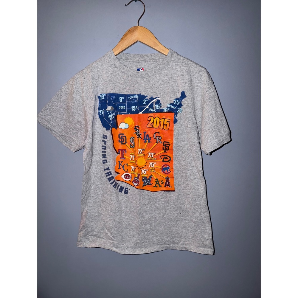 MLB Spring‎ Training 2015 Arizona Cactus League Graphic T-Shirt Mens Medium Gray
